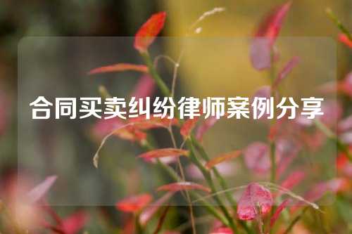 合同买卖纠纷律师案例分享