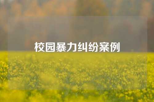 校园暴力纠纷案例