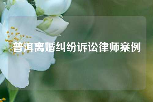 普洱离婚纠纷诉讼律师案例