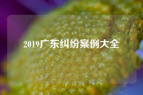 2019广东纠纷案例大全