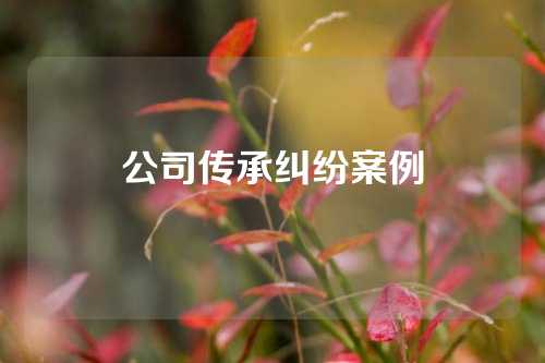 公司传承纠纷案例