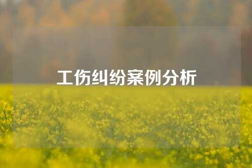 工伤纠纷案例分析