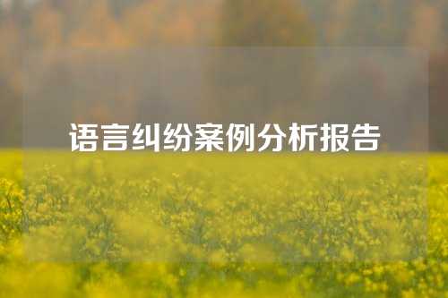 语言纠纷案例分析报告