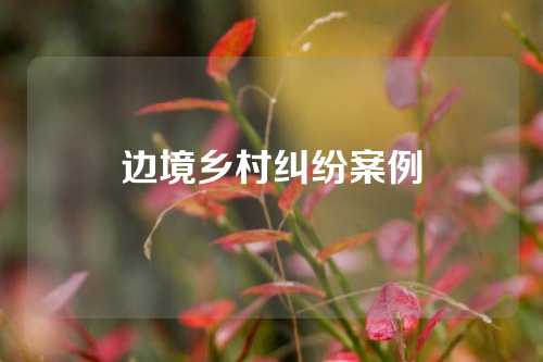 边境乡村纠纷案例