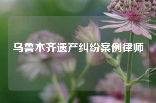 乌鲁木齐遗产纠纷案例律师