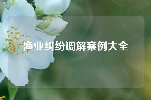 渔业纠纷调解案例大全