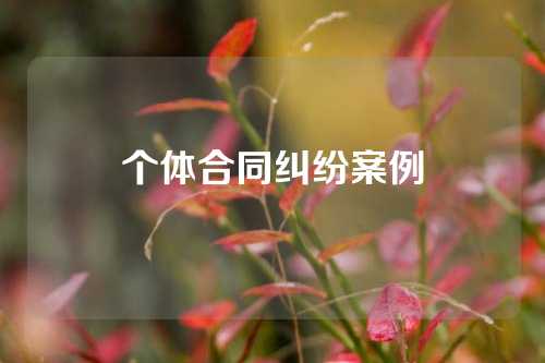 个体合同纠纷案例