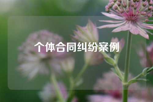 个体合同纠纷案例