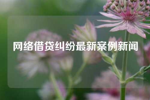 网络借贷纠纷最新案例新闻