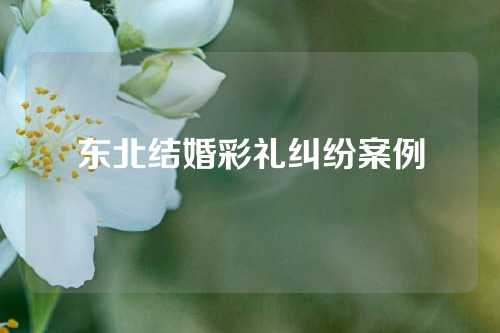 东北结婚彩礼纠纷案例