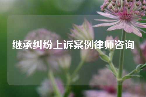 继承纠纷上诉案例律师咨询