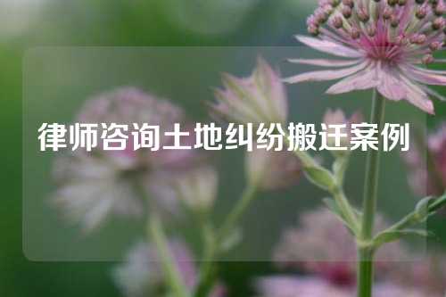 律师咨询土地纠纷搬迁案例