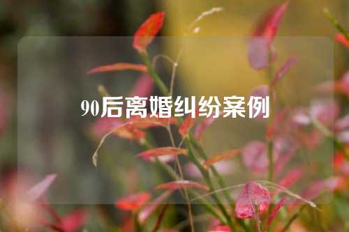 90后离婚纠纷案例