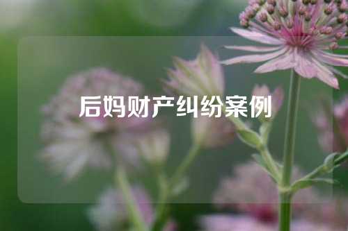 后妈财产纠纷案例