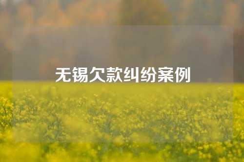 无锡欠款纠纷案例