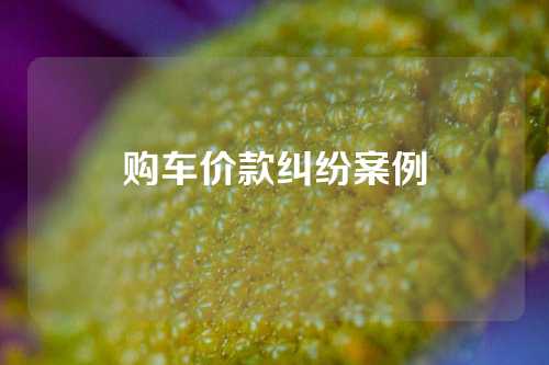 购车价款纠纷案例