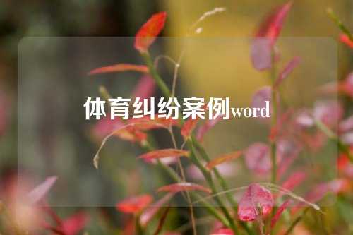 体育纠纷案例word