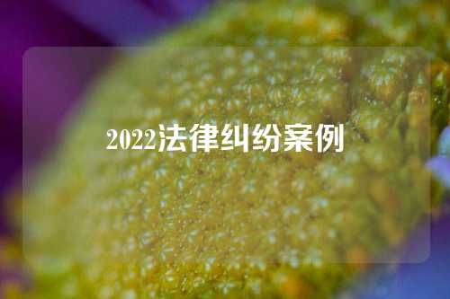 2022法律纠纷案例