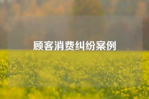 顾客消费纠纷案例