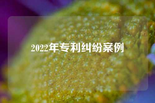 2022年专利纠纷案例