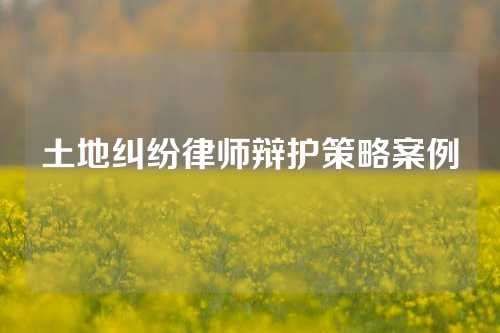 土地纠纷律师辩护策略案例