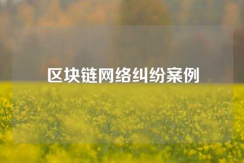 区块链网络纠纷案例