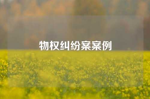 物权纠纷案案例