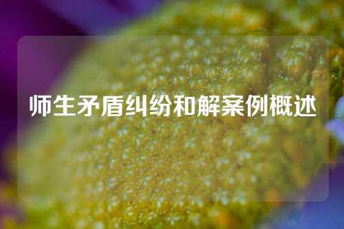 师生矛盾纠纷和解案例概述