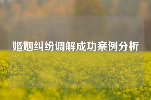 婚姻纠纷调解成功案例分析