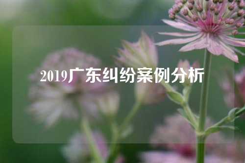 2019广东纠纷案例分析