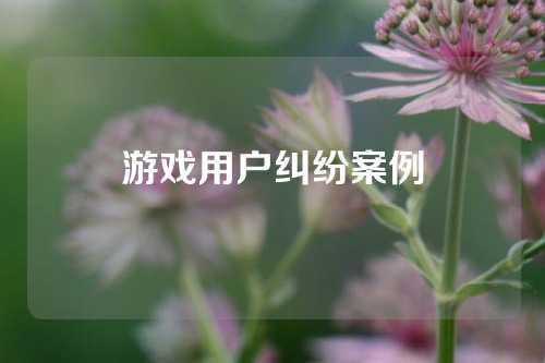 游戏用户纠纷案例