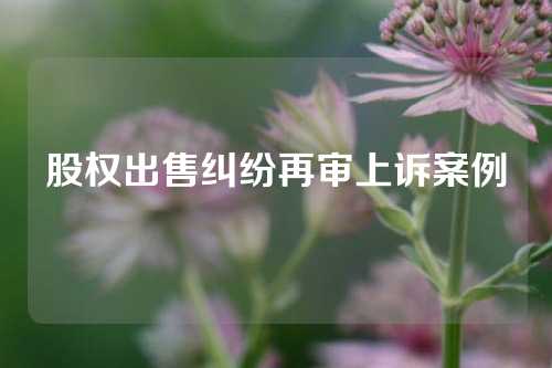 股权出售纠纷再审上诉案例