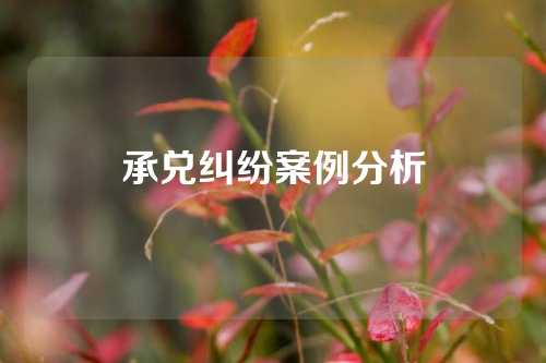 承兑纠纷案例分析