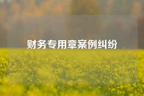 财务专用章案例纠纷