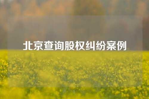 北京查询股权纠纷案例