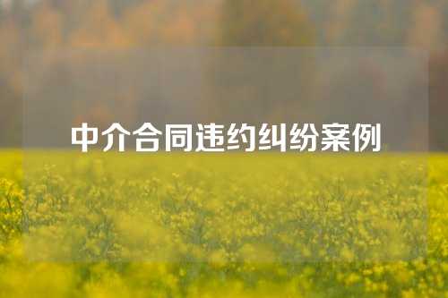 中介合同违约纠纷案例