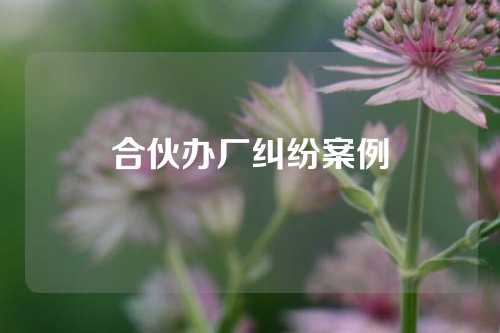 合伙办厂纠纷案例