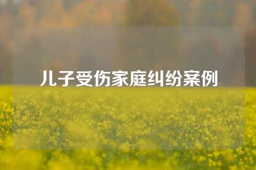 儿子受伤家庭纠纷案例