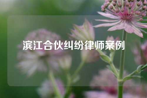 滨江合伙纠纷律师案例