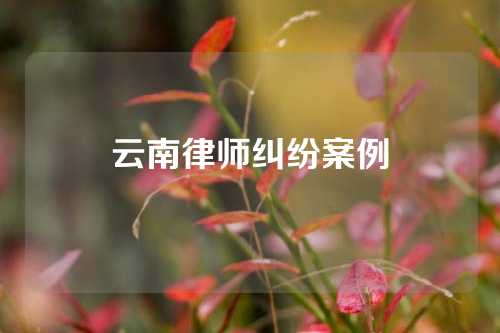 云南律师纠纷案例