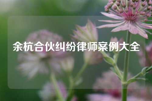 余杭合伙纠纷律师案例大全