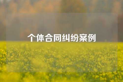 个体合同纠纷案例