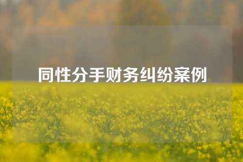 同性分手财务纠纷案例