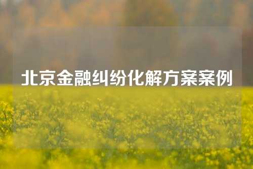 北京金融纠纷化解方案案例