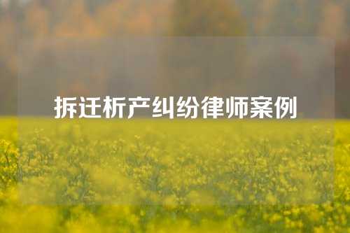 拆迁析产纠纷律师案例