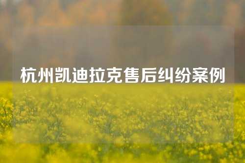 杭州凯迪拉克售后纠纷案例