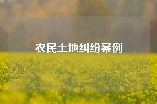 农民土地纠纷案例