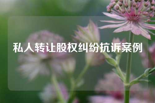 私人转让股权纠纷抗诉案例