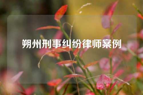 朔州刑事纠纷律师案例