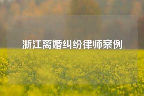 浙江离婚纠纷律师案例